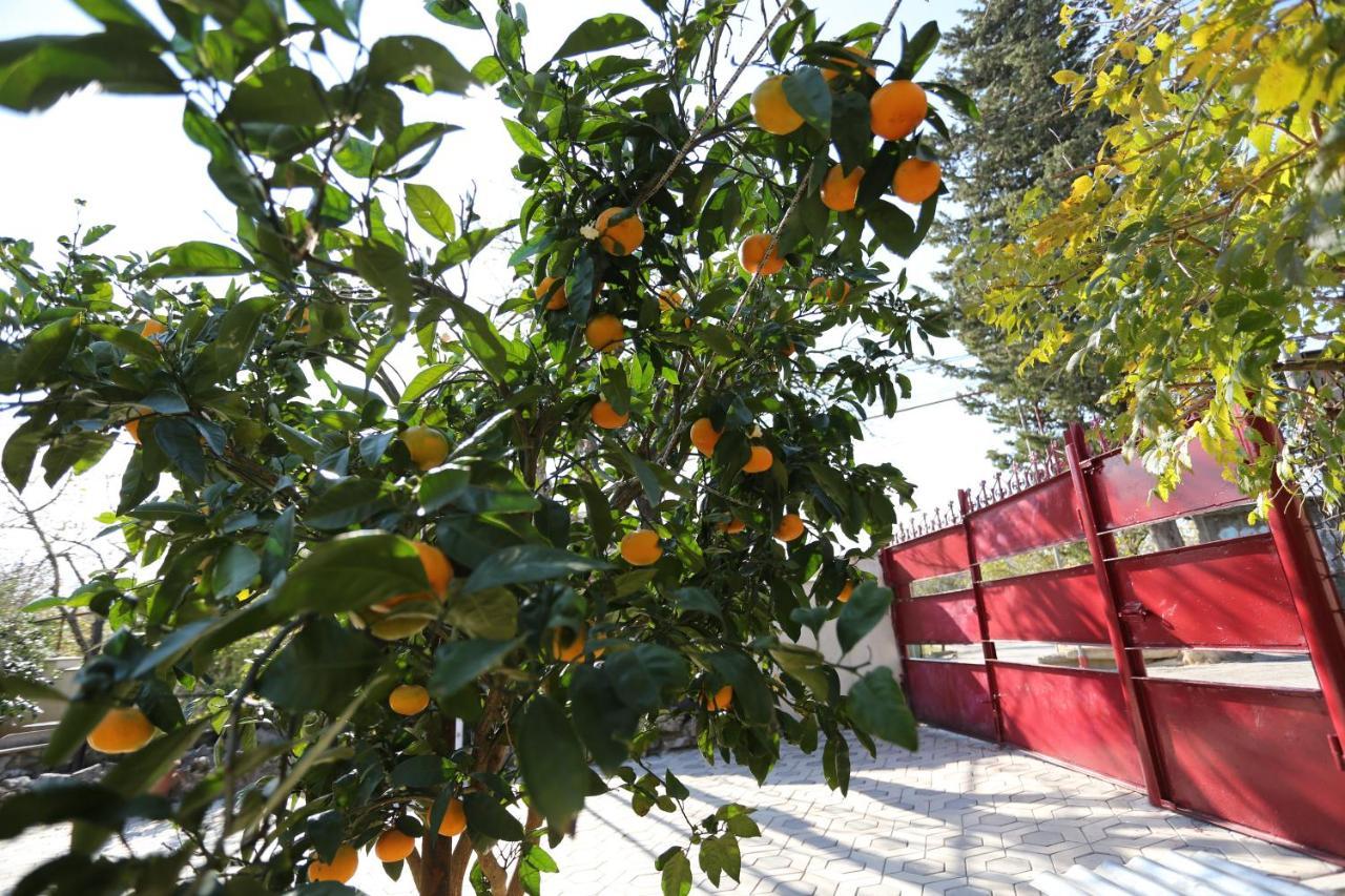 Guesthouse Tea Kutaisi Zewnętrze zdjęcie